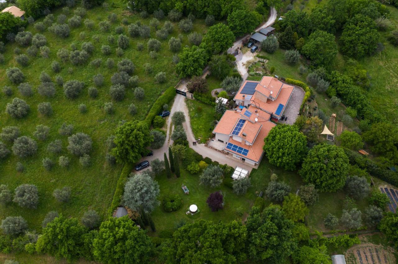 비테르보 Bio & B - Italyke B&B 외부 사진